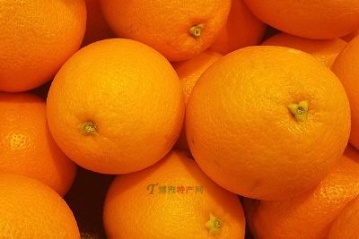 兴山脐橙图文介绍