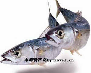 鲭鱼，台湾宜兰县特产鲭鱼图文介绍