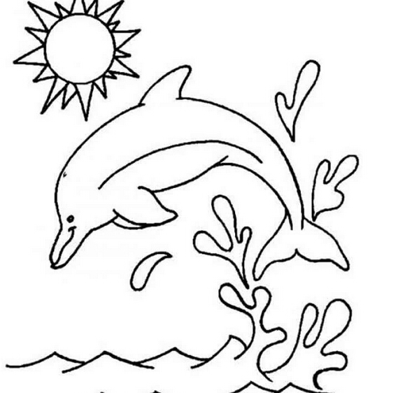 跳水的海豚简笔画图片