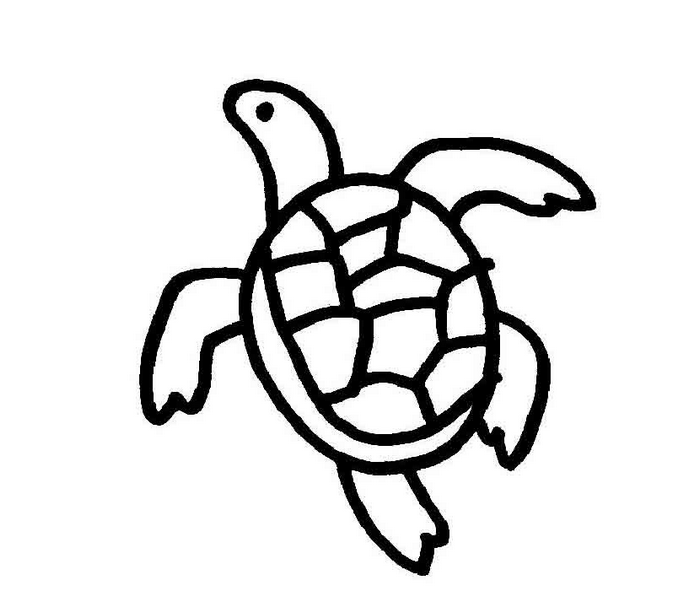 爬行的乌龟简笔画