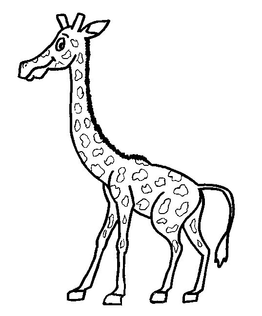 小个子长颈鹿简笔画