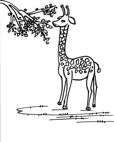 吃树叶的长颈鹿简笔画