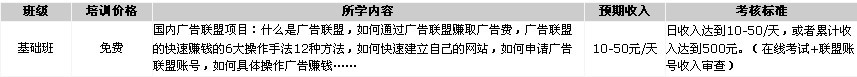 通过广告联盟赚取广告费的项目