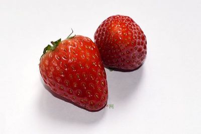 泗县墩集草莓，安徽宿州特产泗县墩集草莓图文介绍