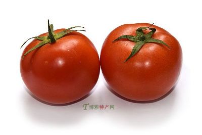 中垾番茄，安徽合肥特产中垾番茄图文介绍