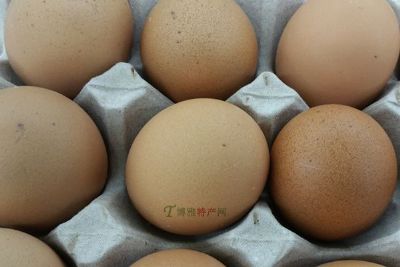 柴鸡蛋，北京怀柔特产柴鸡蛋图文介绍