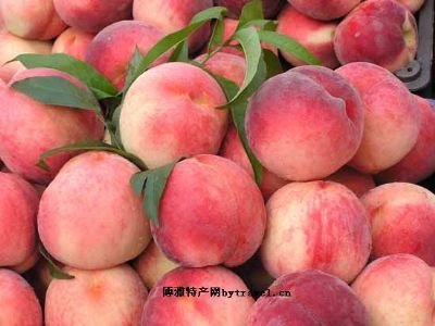 刘家店镇大桃,北京平谷区特产刘家店镇大桃图文介绍