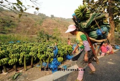 屏边香蕉，云南红河特产屏边香蕉图文介绍