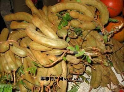 元江酸角图文介绍