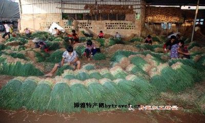 乌山青葱，福建厦门特产乌山青葱图文介绍