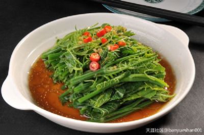 长泰龙须菜图文介绍