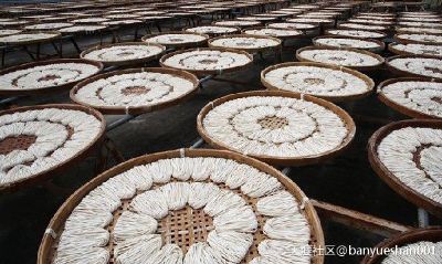 枋洋豆签图文介绍