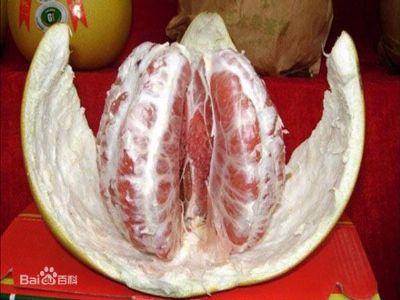 平和红肉蜜柚，福建漳州特产平和红肉蜜柚图文介绍