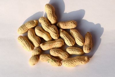 深沪花生,福建泉州特产深沪花生图文介绍