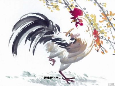 黄香沟鸡，甘肃省定西特产黄香沟鸡图文介绍