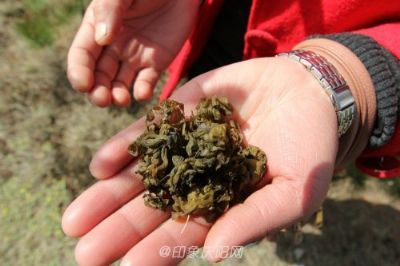 地软软,甘肃省庆阳特产地软软图文介绍