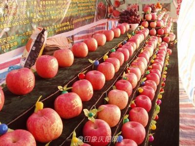 正宁苹果,甘肃省庆阳特产正宁苹果图文介绍