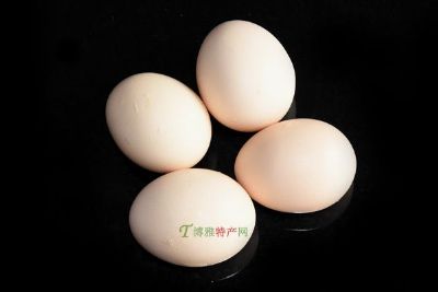鹤山山鸡鲜蛋，广东江门特产鹤山山鸡鲜蛋图文介绍