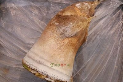 德庆高良富笋,广东肇庆特产德庆高良富笋图文介绍