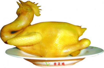 盐焗杏花鸡,广东肇庆特产盐焗杏花鸡图文介绍