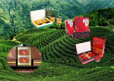 始兴茶叶,广东韶关特产始兴茶叶图文介绍