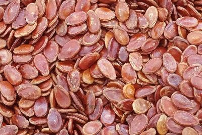 灌阳红瓜子,广西桂林特产灌阳红瓜子图文介绍