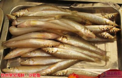 沙箭鱼，广西钦州特产沙箭鱼图文介绍