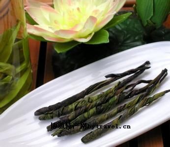 云台山苦丁茶图文介绍