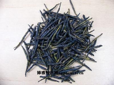 台江苦丁茶图文介绍