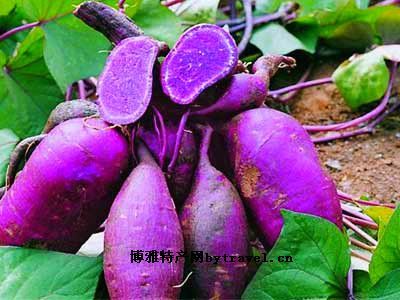 紫色红薯，贵州铜仁特产紫色红薯图文介绍