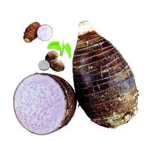 儋州香芋,海南儋州特产儋州香芋图文介绍