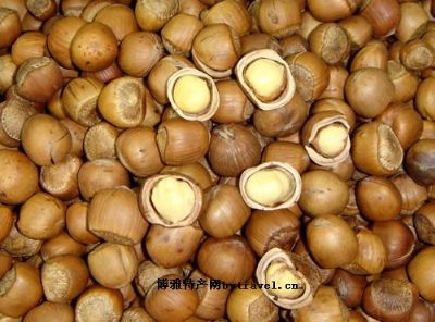 坝上榛子,河北承德特产坝上榛子图文介绍