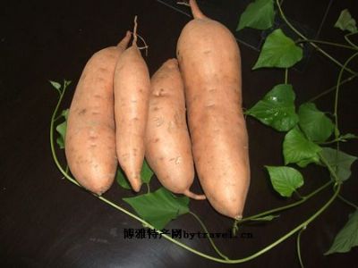 枣强甘薯,河北衡水特产枣强甘薯图文介绍