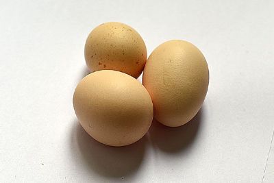 涞源柴鸡蛋，河北保定特产涞源柴鸡蛋图文介绍