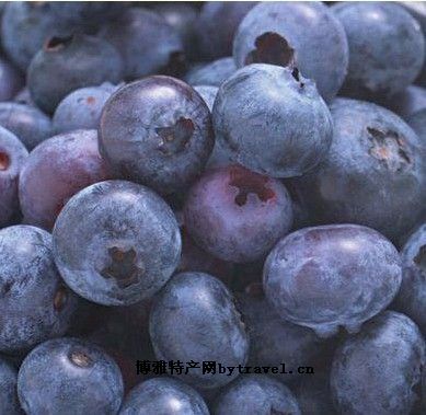 野生蓝莓，黑龙江大兴安岭特产野生蓝莓图文介绍