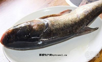 龙头胖头鱼，黑龙江双鸭山特产龙头胖头鱼图文介绍