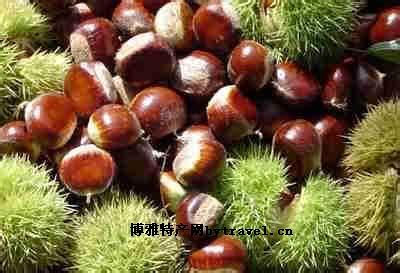 桃溪无虫板栗,河南南阳特产桃溪无虫板栗图文介绍