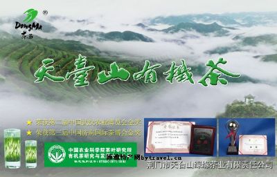 天台山有机茶图文介绍