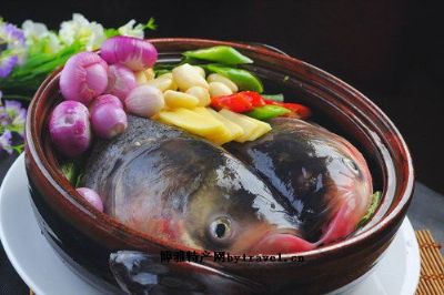 松滋洈水鱼，湖北荆州特产松滋洈水鱼图文介绍