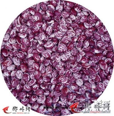 桂东花豆,湖南郴州特产桂东花豆图文介绍