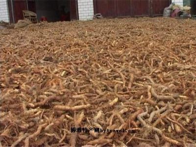 邵东流泽玉竹,湖南邵阳特产邵东流泽玉竹图文介绍