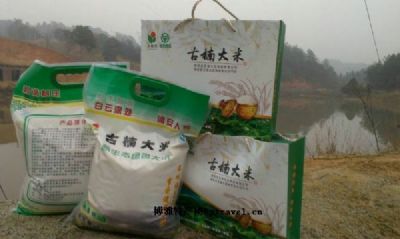 古楠大米图文介绍