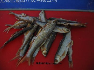 北河鲜图文介绍
