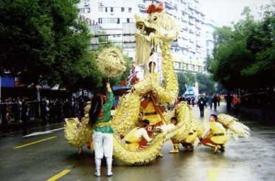 湖口草龙，江西九江特产湖口草龙图文介绍