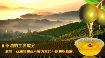 三清山山茶油,江西上饶特产三清山山茶油图文介绍
