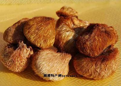通化-猴头蘑，吉林通化特产通化-猴头蘑图文介绍