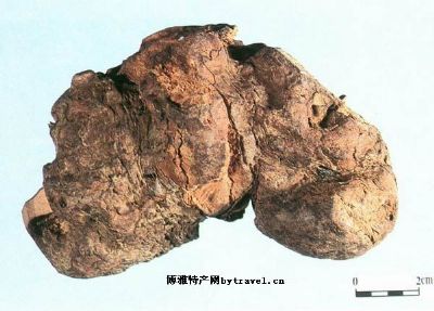 吉林-茯苓,吉林延边特产吉林-茯苓图文介绍