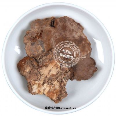 野生斑褐孔菌,吉林延边特产野生斑褐孔菌图文介绍