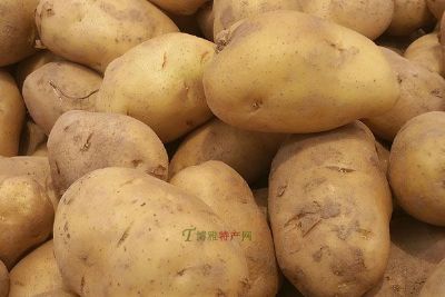 白城马铃薯，吉林白城特产白城马铃薯图文介绍