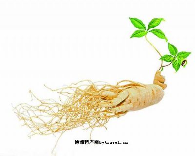 野生人参,吉林吉林市特产野生人参图文介绍
